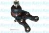 HYUNDAI 545304A800 Ball Joint